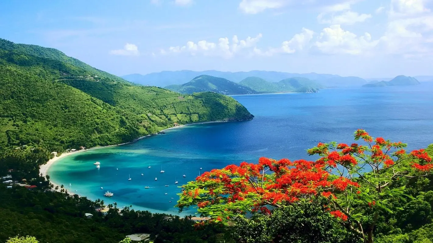 高质量先进智能化